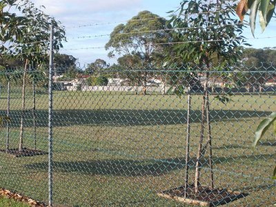 chainwire sydney security fence